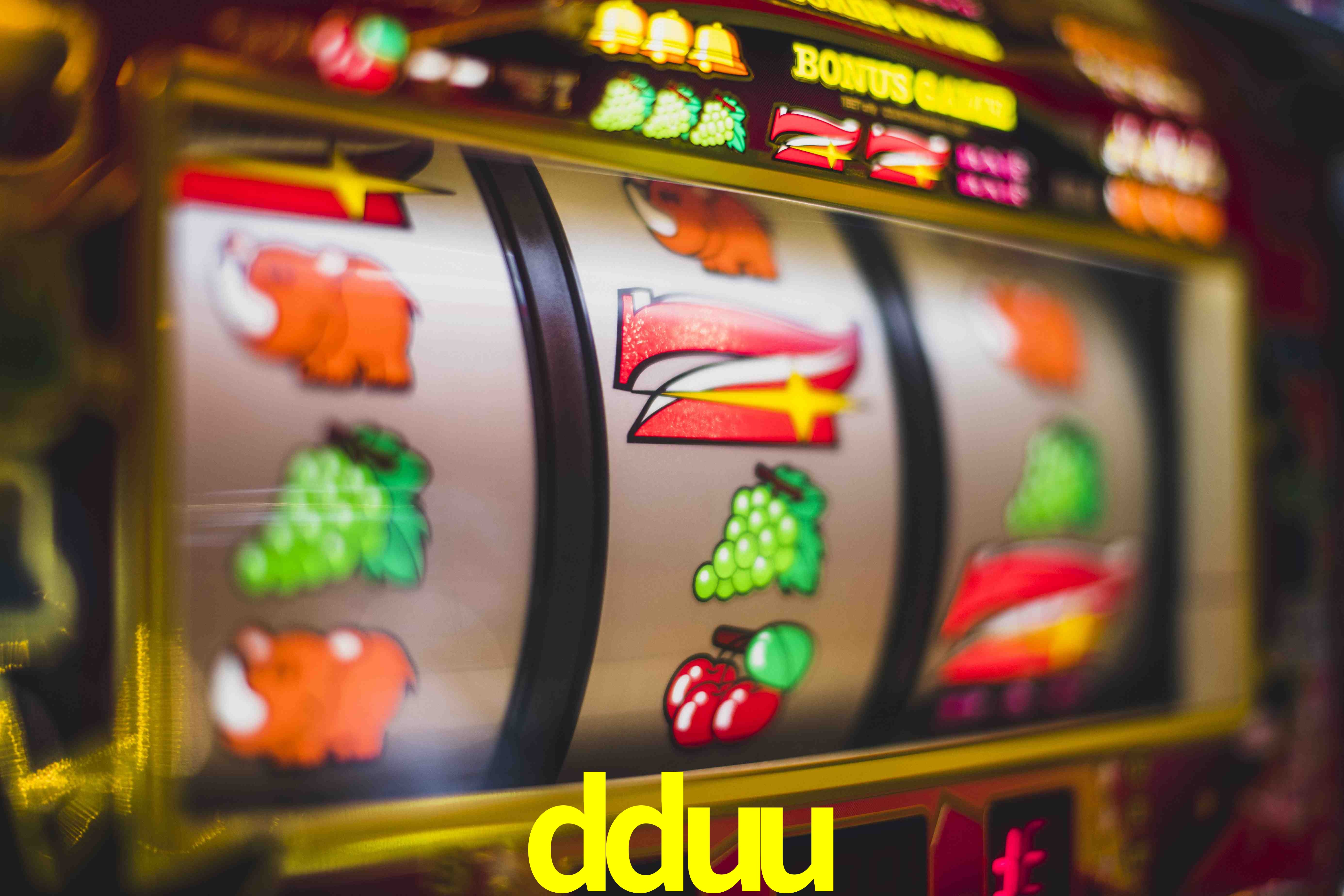 Basketball Betting dduu